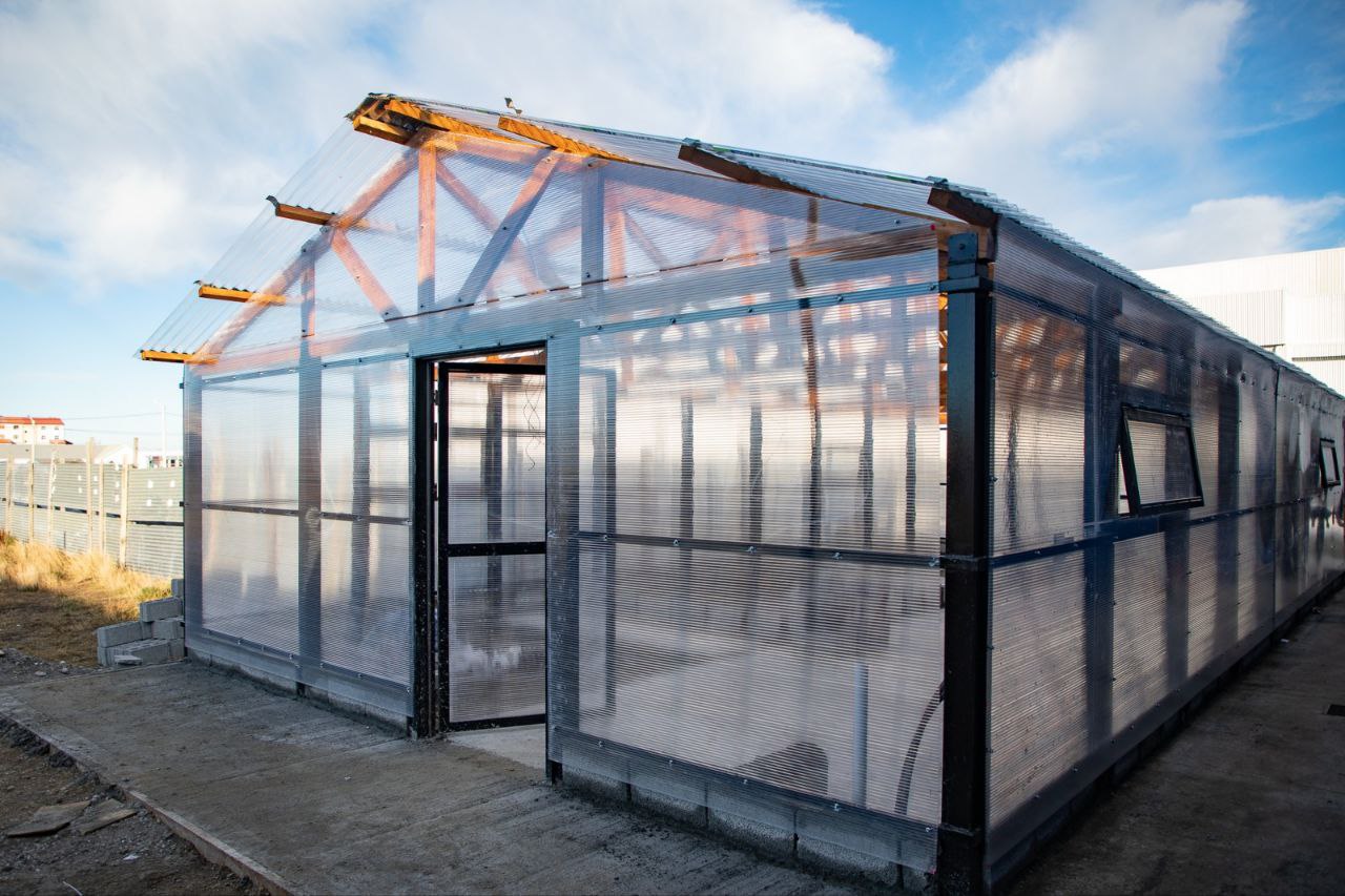 vivero en casa de jóvenes