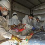 plan de acción climática