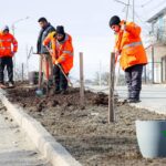 trabajo embellecimiento tolhuin