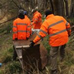 photo 2023 10 07 18 07 01