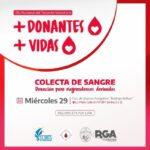 photo 2023 11 25 16 09 21