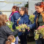 entrega plantines 2023