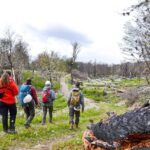 relevamiento corazón de la isla