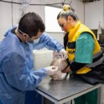 jornada vacunación rga