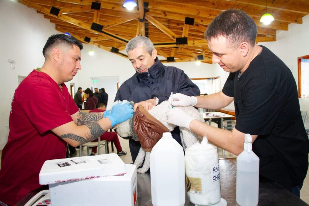 photo 2024 06 08 14 19 09 2