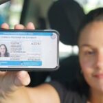 plásticos licencias de conducir