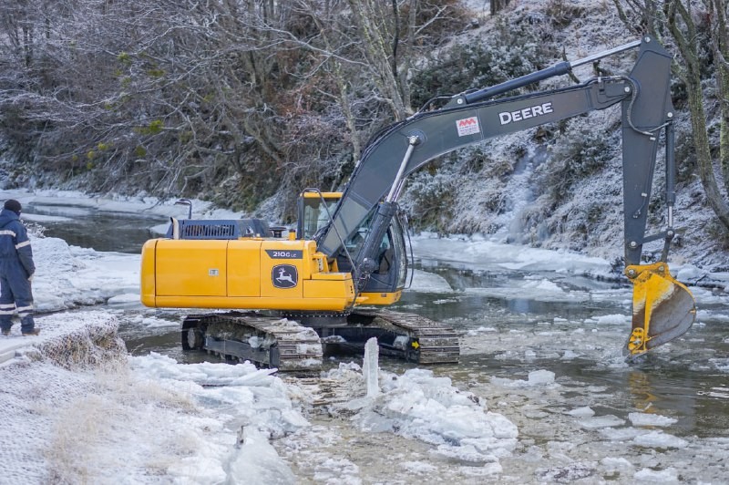 servicios sanitarios