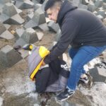 pinguino costa río grande