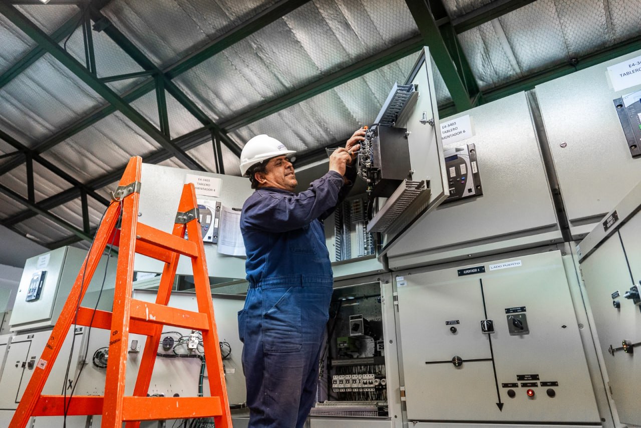 centro de distribución torelli