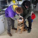 jornada antirrábica tolhuin