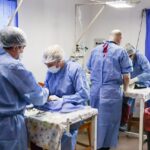 photo 2024 10 17 18 01 59