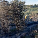 photo 2025 01 10 13 37 15