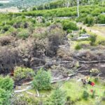 photo 2025 01 19 15 57 58