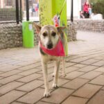 photo 2025 04 29 17 30 59