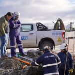 photo 2025 06 02 13 55 10