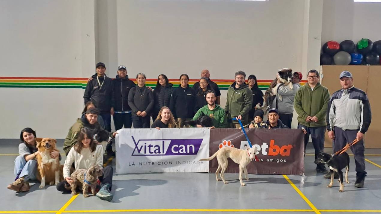 photo 2025 06 04 10 17 11