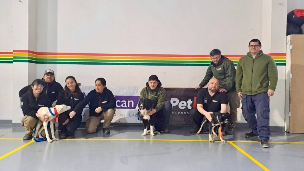 photo 2025 06 04 10 17 12