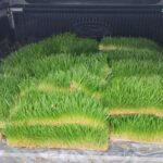 photo 2025 06 25 13 34 25