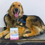 photo 2025 07 16 17 04 00