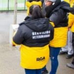 photo 2025 07 17 00 28 01