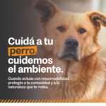 photo 2025 08 18 15 45 27