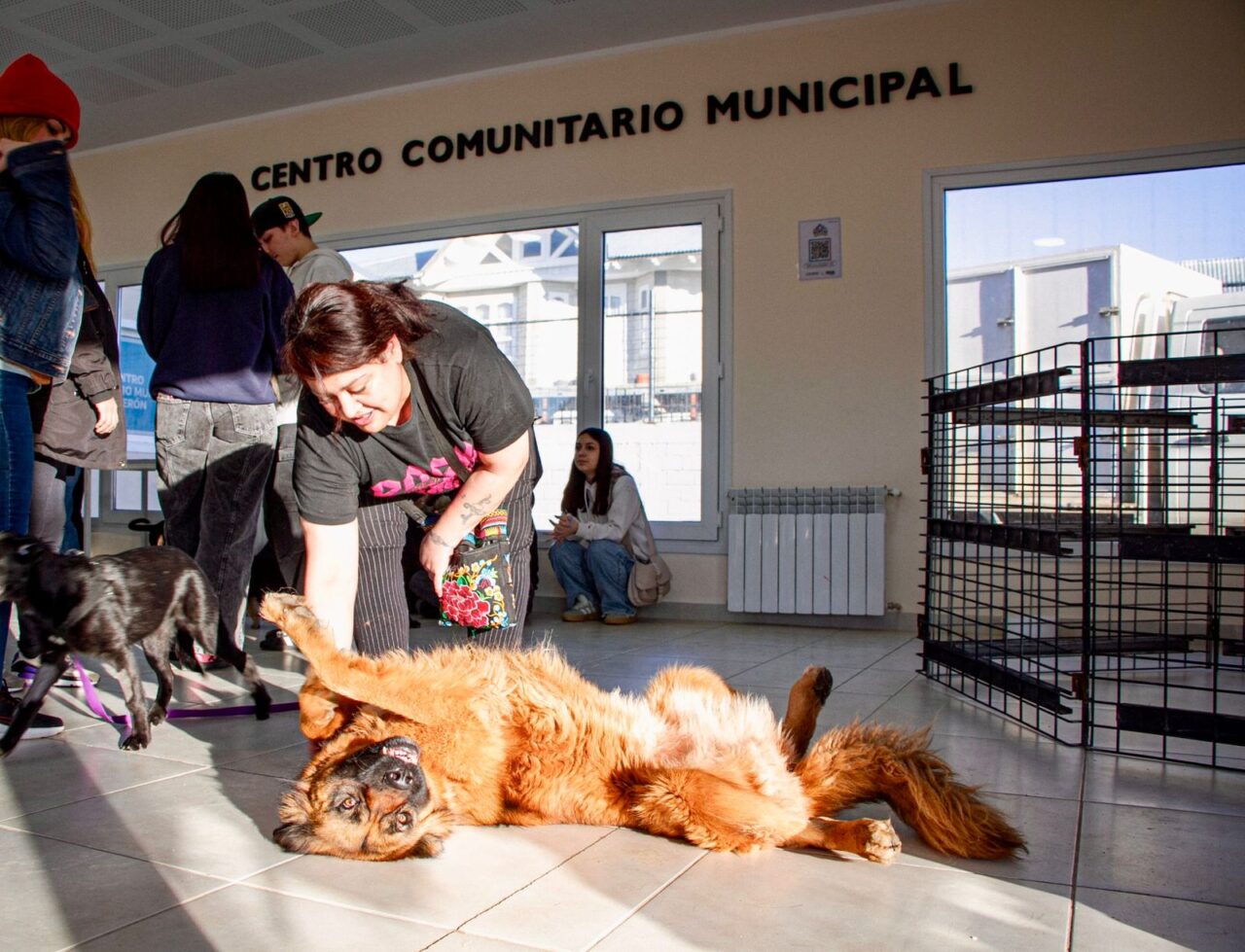 photo 2025 08 26 22 38 32