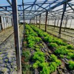 photo 2025 08 27 13 22 18