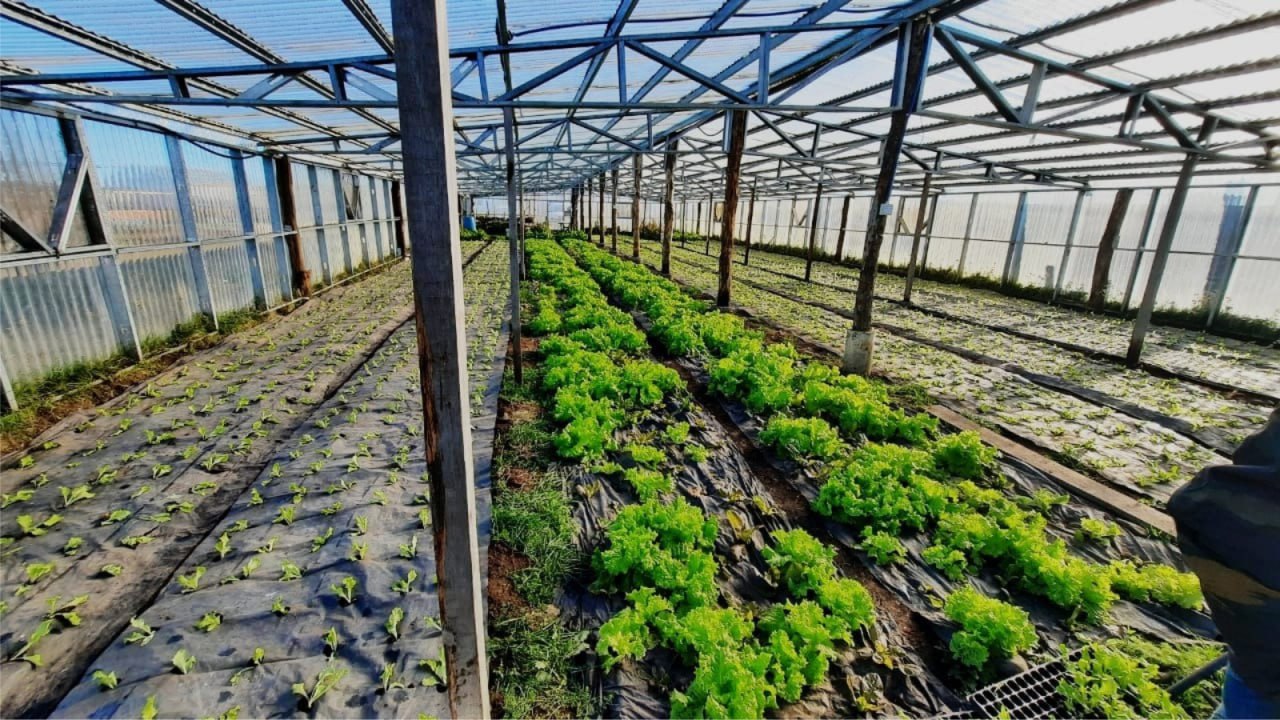 photo 2025 08 27 13 22 18