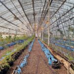 photo 2025 09 06 16 36 57