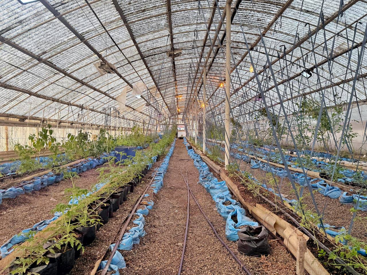 photo 2025 09 06 16 36 57