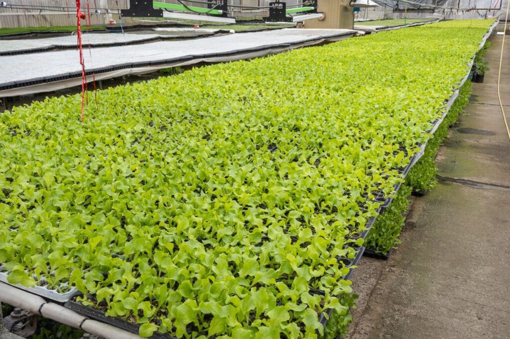 photo 2025 09 10 10 04 51