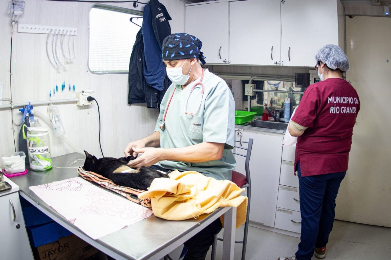 photo 2025 09 13 14 55 14