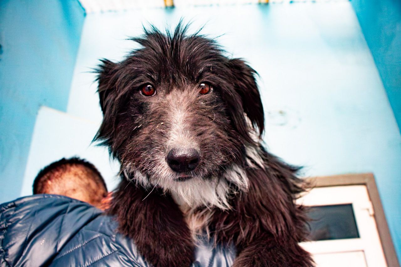 photo 2025 09 20 11 57 52