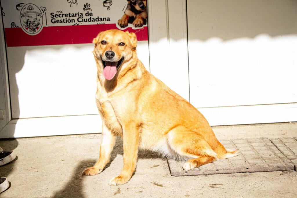 photo 2025 09 20 11 57 53