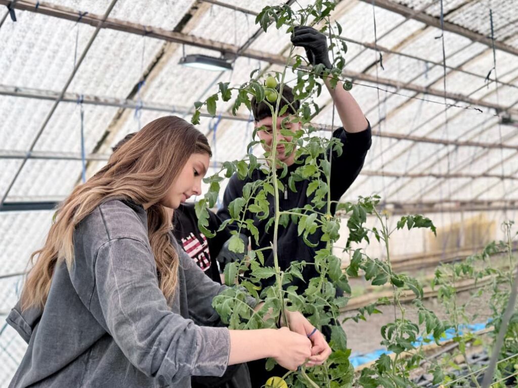 photo 2025 09 25 12 47 57 (2)