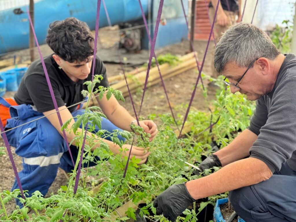 photo 2025 09 25 12 47 58