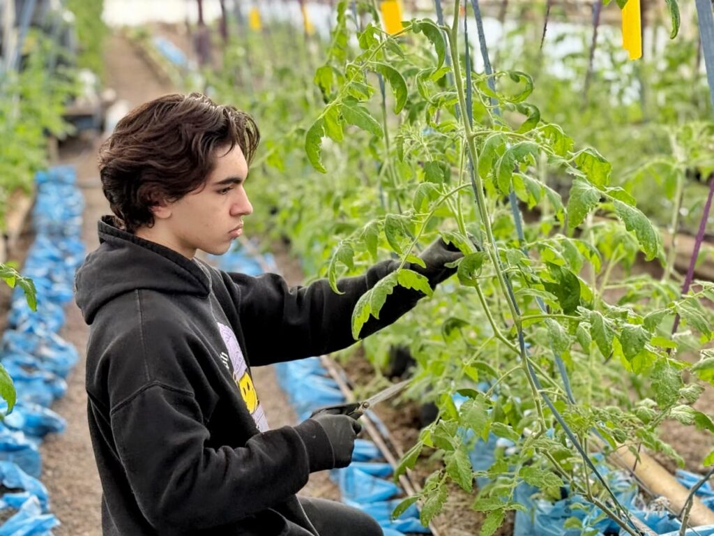 photo 2025 09 25 12 47 58 (2)