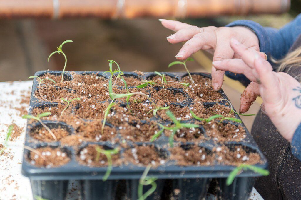 photo 2025 09 29 10 28 14 (2)