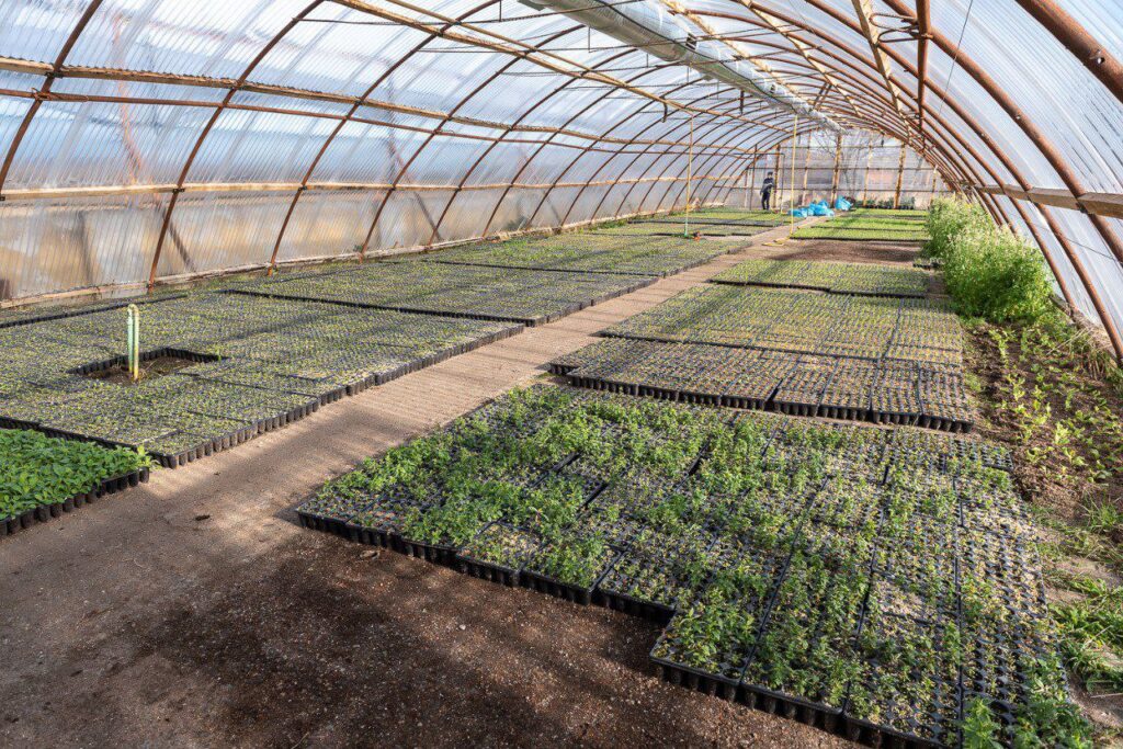 photo 2025 09 29 10 28 15