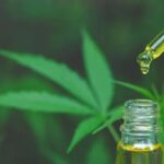 cannabis medicinal rga