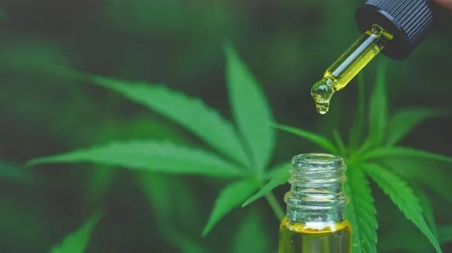 cannabis medicinal rga