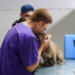 photo 2025 10 01 10 36 55