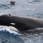 photo 2025 10 04 16 01 00