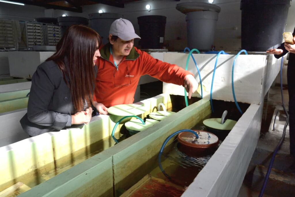 photo 2025 10 08 10 02 14