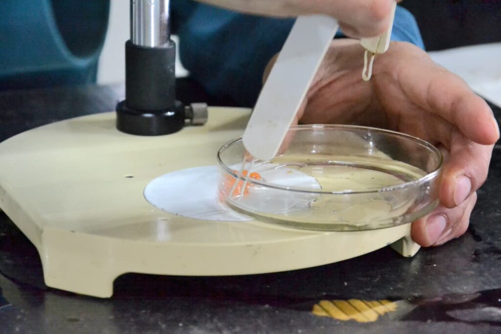 photo 2025 10 08 10 02 17