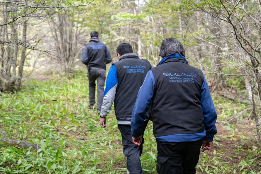 photo 2025 10 17 17 15 55