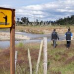 photo 2025 10 30 12 40 48 (2)