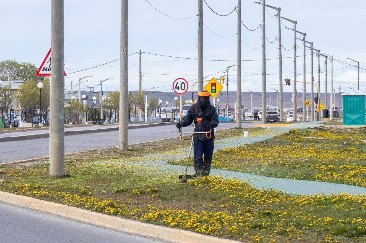 photo 2025 11 02 18 31 32