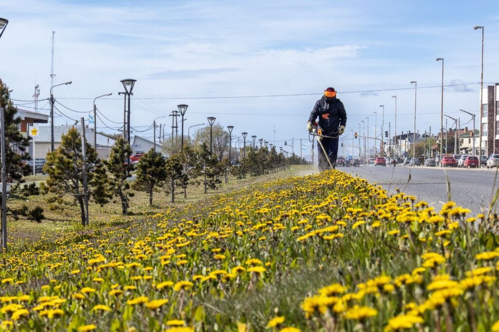 photo 2025 11 02 18 31 33 (2)