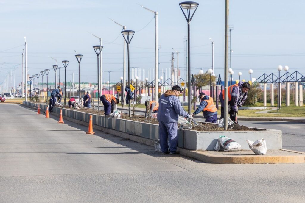 photo 2025 11 02 18 31 34 (2)